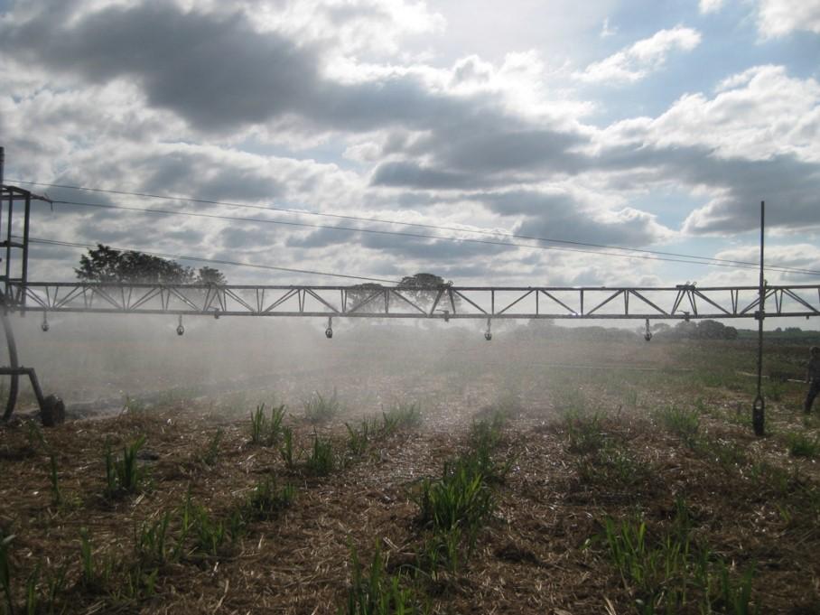 Estudos da Embrapa indicam estratégias para mitigar emissão de óxido nitroso no cultivo da cana