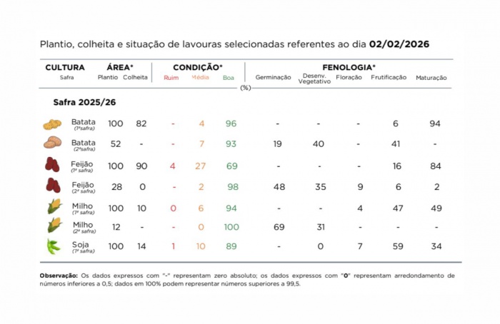 PR Safra 2025/26: estresse hídrico preocupa sojicultores