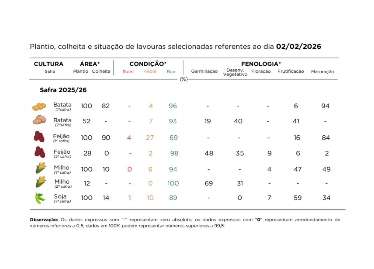 PR Safra 2025/26: estresse hídrico preocupa sojicultores