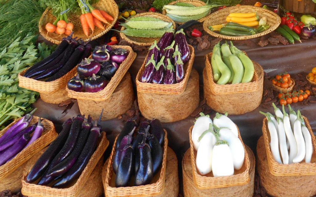 Horticeres Sementes, em Indaiatuba (SP), incorpora portfólio de cultivares e sementes Sakama