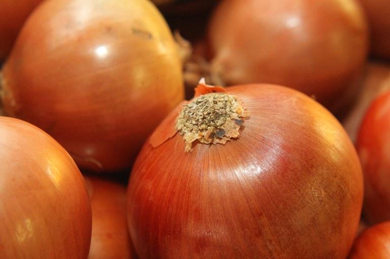 Camex aumenta alíquota de importação de cebola