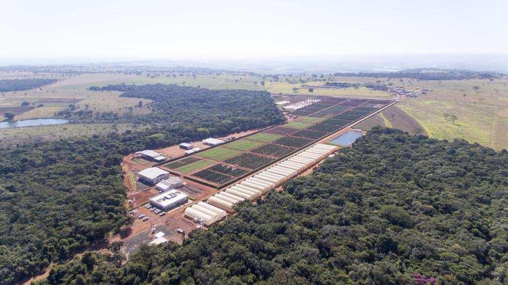 Bayer inaugura estação de pesquisa para sementes de hortaliças e vegetais em Uberlândia (MG)