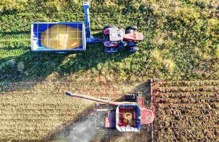 Agro lidera pedidos de recuperação judicial no Brasil em 2025