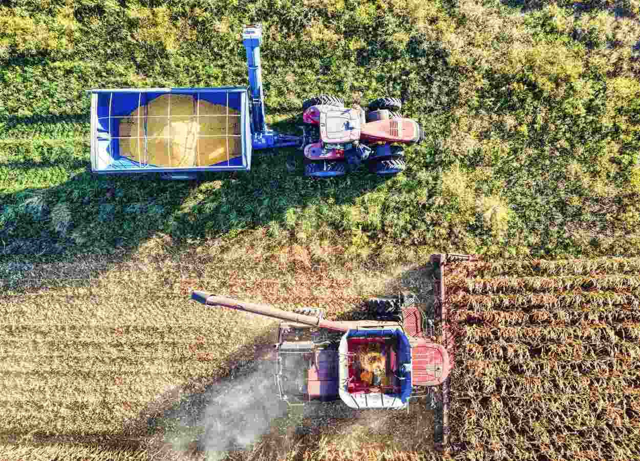 Agro lidera pedidos de recuperação judicial no Brasil em 2025