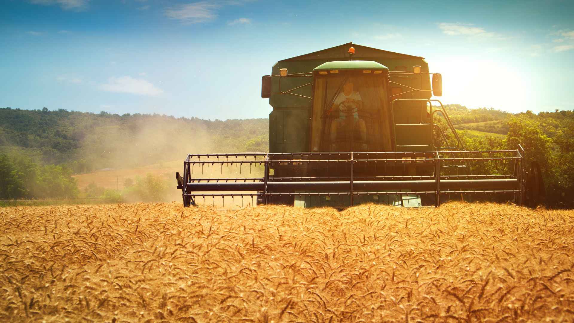Conab estimates a 17,4% increase in grain production for the 22/23 harvest