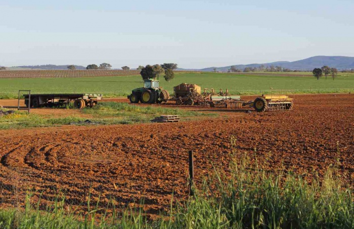 Crop diversification grows in Mato Grosso do Sul