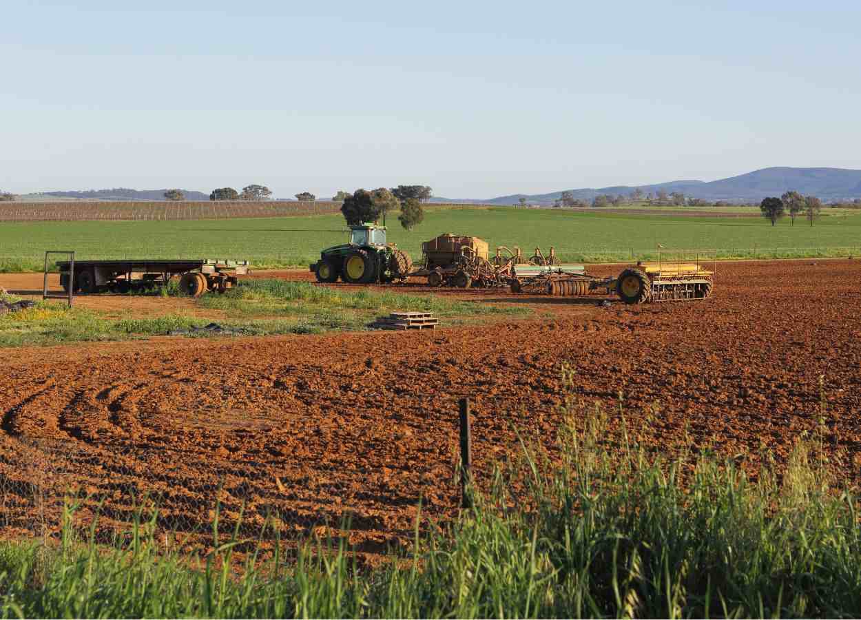 Produtos como amendoim, mandioca, arroz, feijão e algodão ganham espaço nas lavouras e ampliam a cesta alimentar produzida dentro do Estado