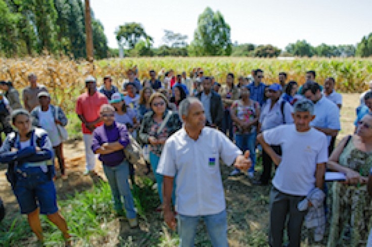 Primeiro seminário de “Agricultura de Baixo Carbono”, do Projeto ABC Cerrado, é realizado no DF