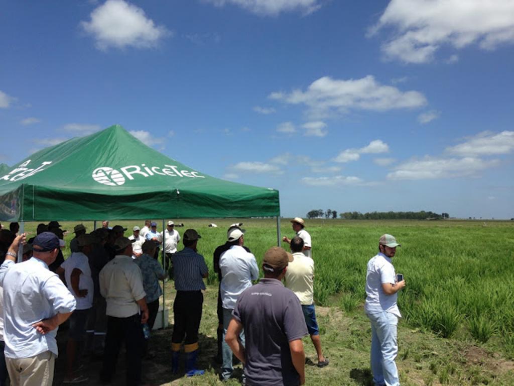 ​RiceTec promove temporada de Dias de Campo pelo Sul do Brasil