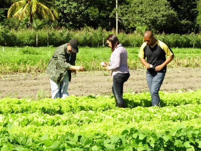 Produtores aprendem a reconhecer agentes naturais de controle de pragas