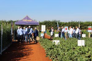 Agristar do Brasil launches 13 new horticulture seeds at Hortitec 2019
