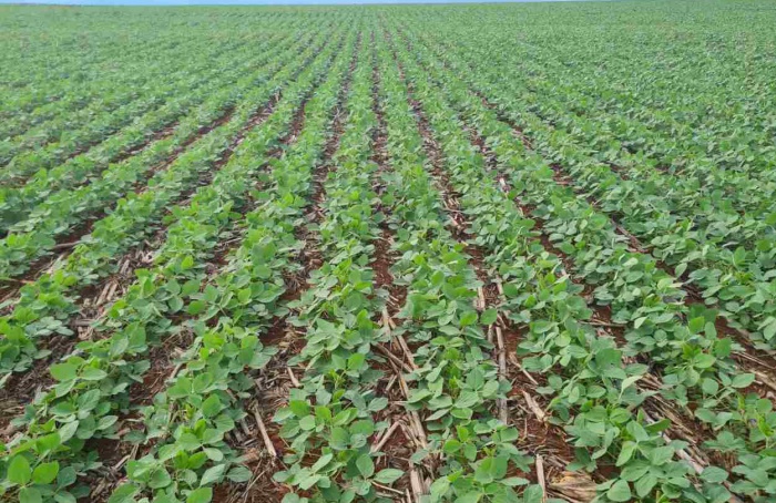 PI AgSciences inicia 2026 com participação em eventos do agro