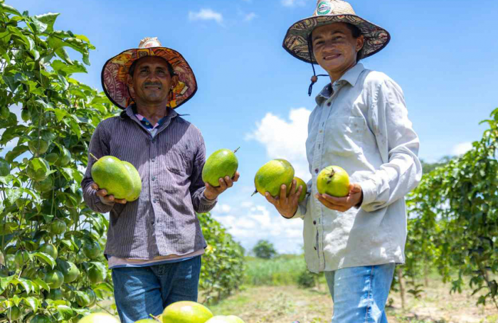 Projeto de Fruticultura Irrigada do Vão do Paranã recebe investimento de R$ 11 milhões