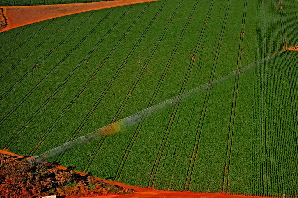 Goiás tem mais de 237 mil hectares de área irrigada por pivôs centrais