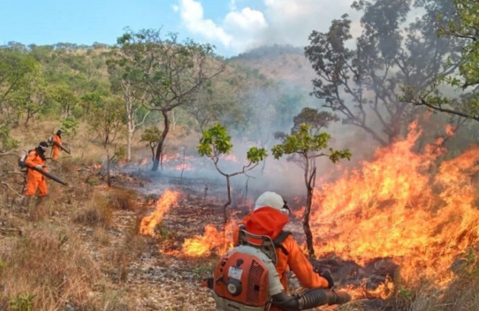 Tocantins registra redução de 10% na curva de crescimento dos focos de queimadas