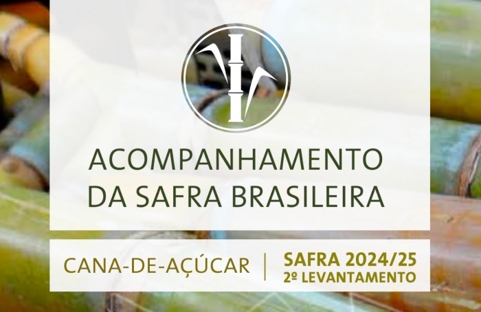 Produção de cana-de-açúcar no Brasil deve alcançar 689,8 milhões de toneladas, aponta Conab