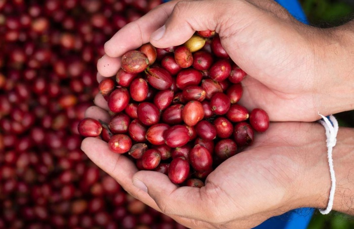 MG: exportações do agro somam US$ 5,8 bi no 1º quadrimestre