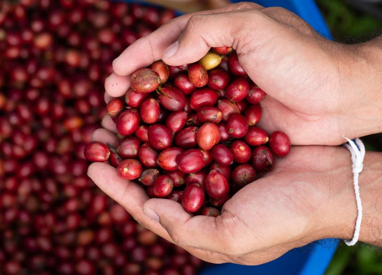MG: exportações do agro somam US$ 5,8 bi no 1º quadrimestre