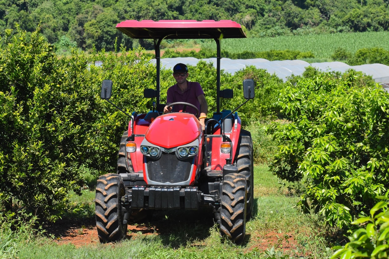 The Backes family dedicates more than 25 hectares to citrus cultivation, including oranges and tangerines, as well as cassava, vegetables, corn for silage and small pasture for livestock