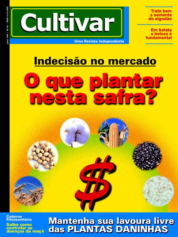 O que plantar nesta safra?