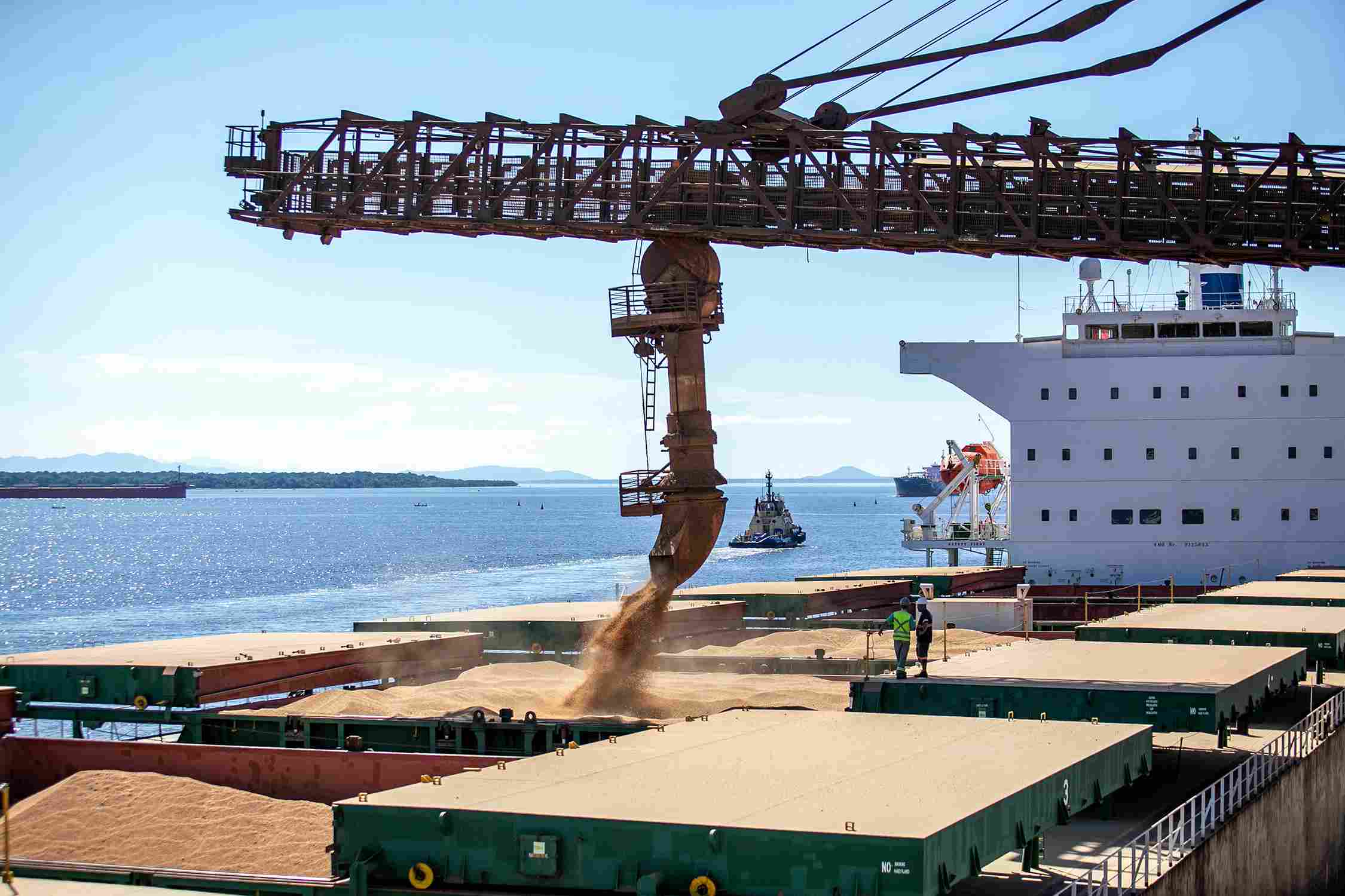 Soybean complex generates US$ 34 million per day at the Port of Paranaguá