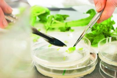 Bayer e LB-Track firmam parceria na América Latina