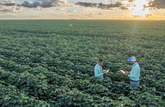 SLC Agrícola amplia rastreio de carbono no agronegócio