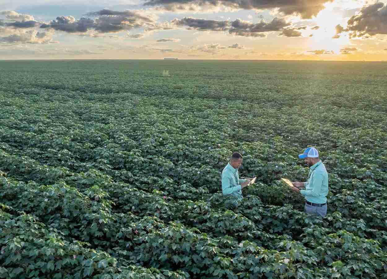 SLC Agrícola amplia rastreio de carbono no agronegócio