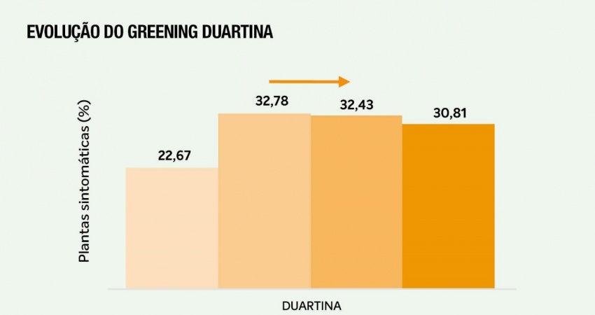 Evolução do greening em Duartina (SP).