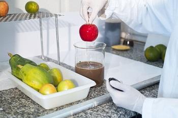 Tecnologia em inovação aberta para conservação de frutas ganha mercado internacional