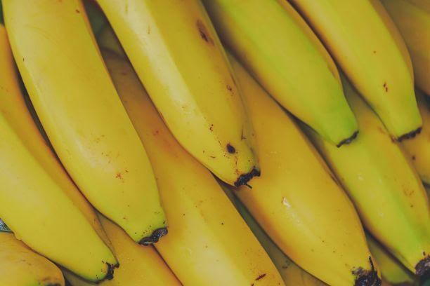 Fungo selecionado pelo IB controla broca-da-banana, principal praga da cultura