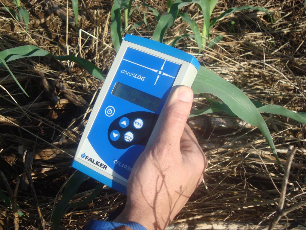 Tecnologia brasileira atrai produtores da América Latina