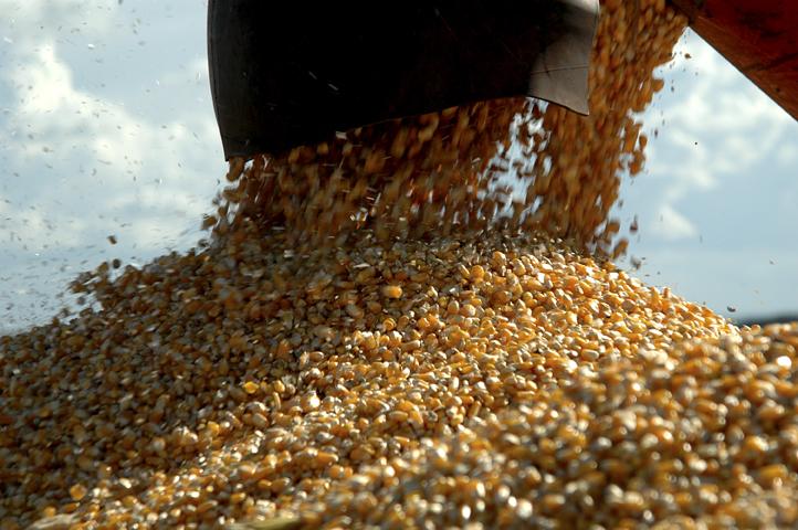 Agronegócio mineiro apresenta tendência de crescimento em 2016