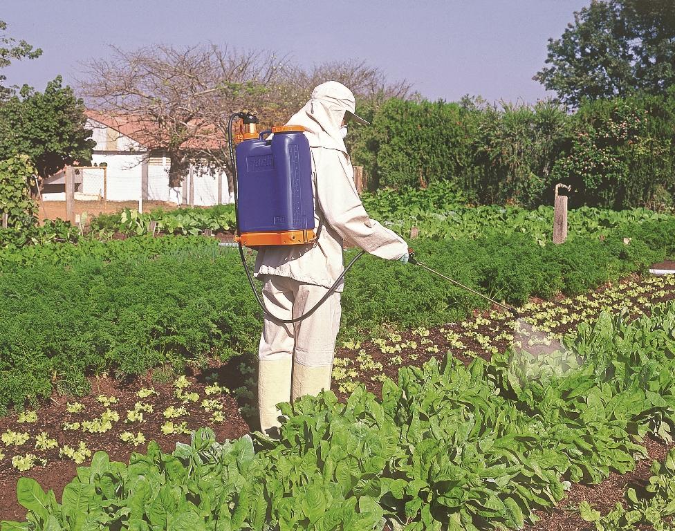 Instituto Agronômico celebra 10 anos do Programa QUEPIA e 47 anos do CEA de Jundiaí