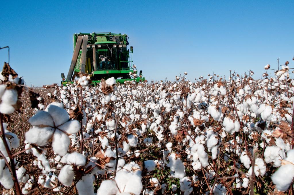 Agrobravo abre as porteiras do agronegócio brasileiro para agricultores estrangeiros