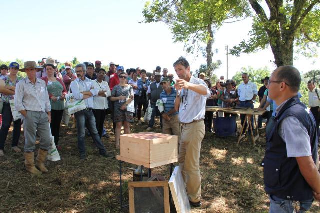 Dia de Campo da Agroecologia traz tecnologias sobre leguminosas