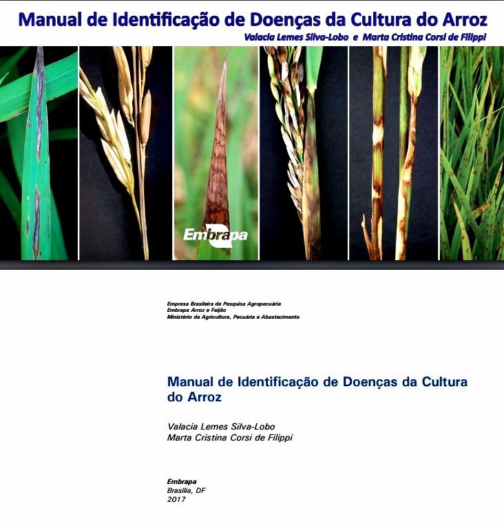 Embrapa lança manual para a identificação de doenças na cultura do arroz