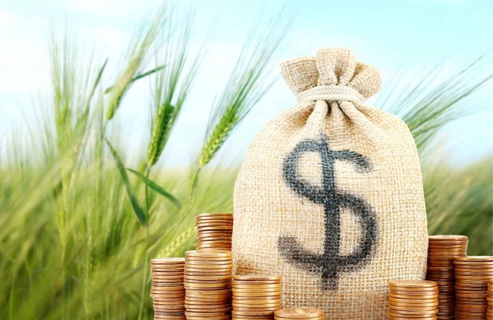 Concessões de crédito rural e agroindustrial caem 17% em 2025