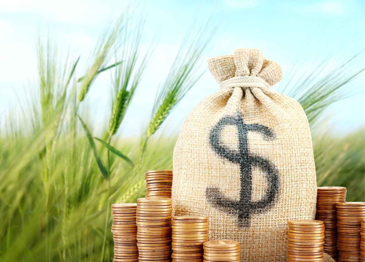Concessões de crédito rural e agroindustrial caem 17% em 2025