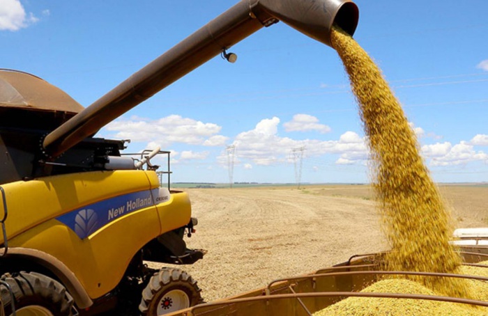 Prognóstico do IBGE aponta queda de 3,7% na safra 2026