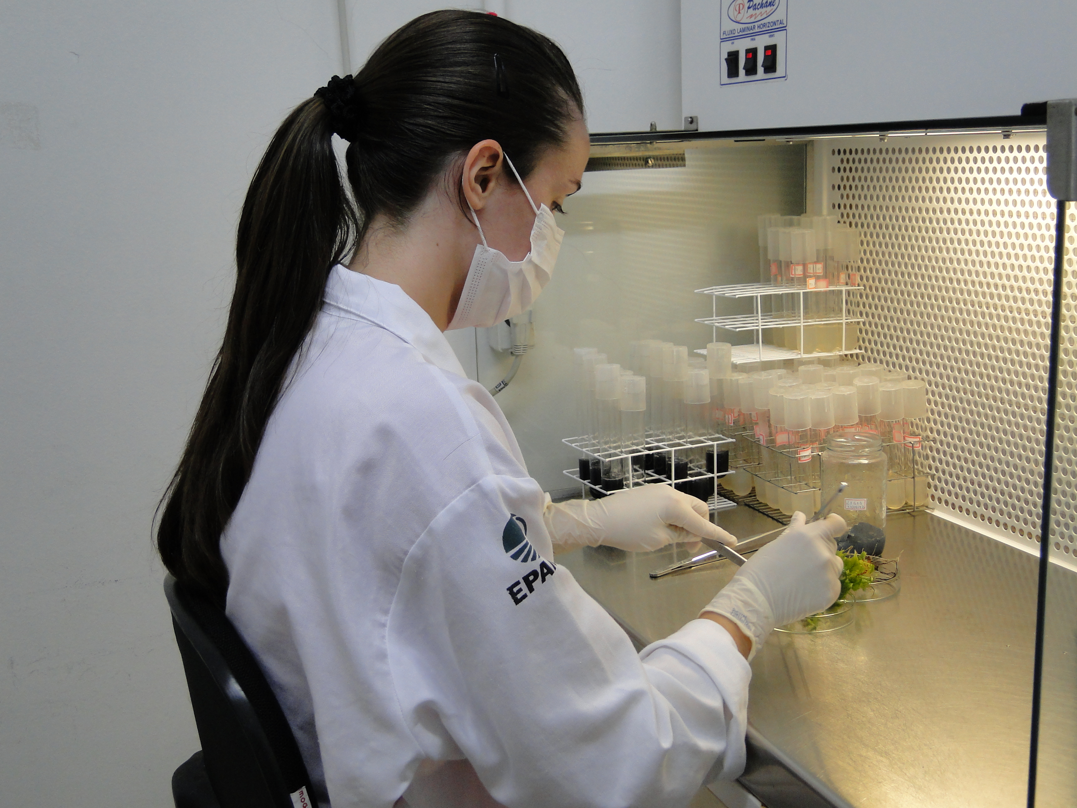 EPAMIG inaugura Programa Especial de pesquisa em biotecnologia