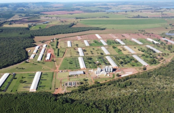 Regularização ambiental avança no campo paulista