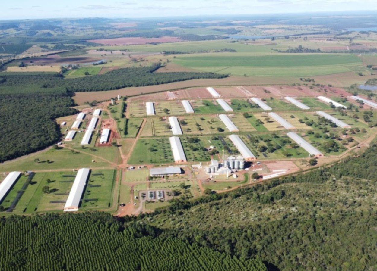 Environmental regulation advances in the countryside of São Paulo.