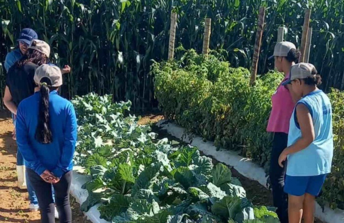 Iniciativa da AgroBrasília busca conectar crianças ao agronegócio brasileiro