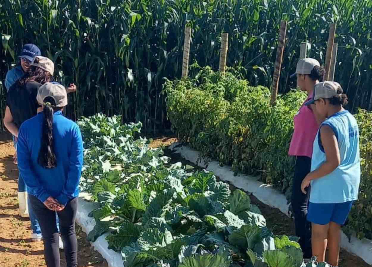 Iniciativa da AgroBrasília busca conectar crianças ao agronegócio brasileiro