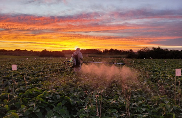 Nanotecnologia: um caminho sem volta na busca por uma agricultura mais competitiva e sustentável