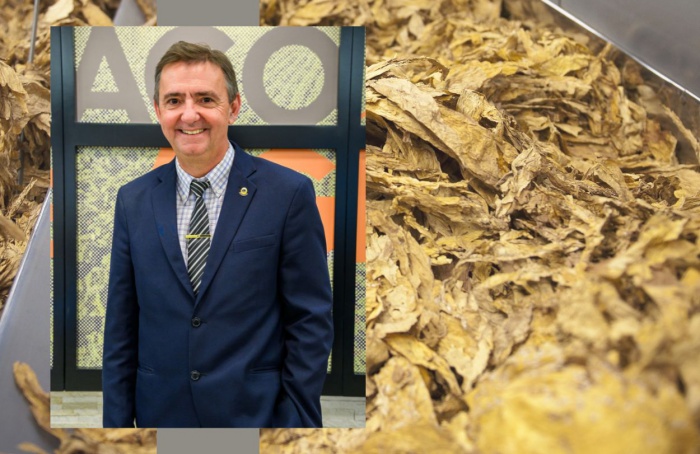Exportação brasileira de tabaco deve crescer até 15% em 2025