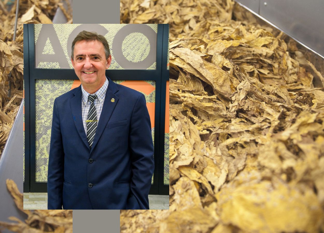 Exportação brasileira de tabaco deve crescer até 15% em 2025