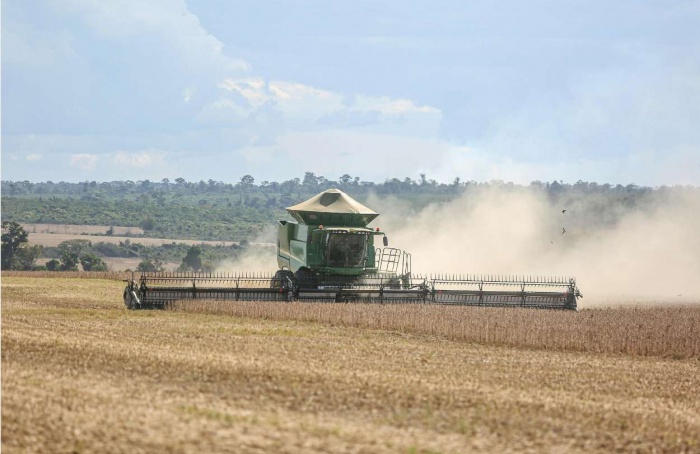 Produtividade impulsiona projeção de safra recorde de soja