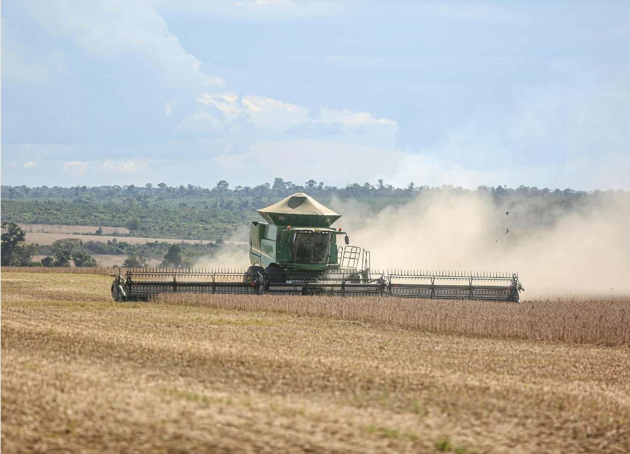 Produtividade impulsiona projeção de safra recorde de soja